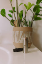 Load image into Gallery viewer, DENTAL VEGAN CHARCOAL FLOSS & REFILLS