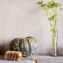 Load image into Gallery viewer, TIGER VEGGIE BRUSH / ECO MAX