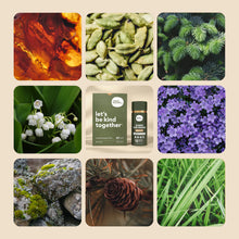 Load image into Gallery viewer, IN WASH SCENT BOOSTER