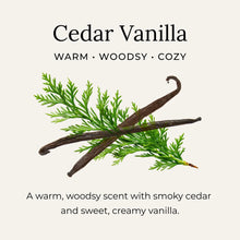 Load image into Gallery viewer, ORGANIC DEODORANT CREAM / REFILLABLE