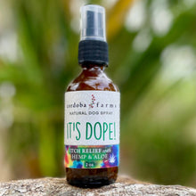 Load image into Gallery viewer, ITCH RELIEF SPRAY