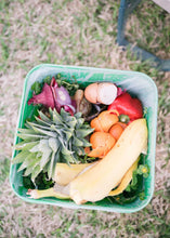 Load image into Gallery viewer, COMPOSTING SERVICE (DOORSTEP WEEKLY PICK UP)