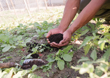 Load image into Gallery viewer, COMPOSTING SERVICE (DOORSTEP WEEKLY PICK UP)