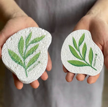 Load image into Gallery viewer, POP-UP ECO SPONGE