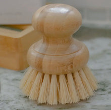 Load image into Gallery viewer, CASA AGAVE® DISH WASHING BRUSH