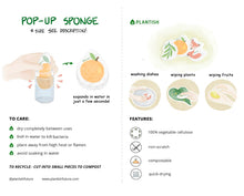 Load image into Gallery viewer, POP-UP ECO SPONGE