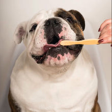 Load image into Gallery viewer, DENTAL DOG TOOTH POWDER