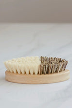 Load image into Gallery viewer, CASA AGAVE® DUO TONE VEGETABLE / GENERAL CLEANING BRUSH