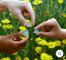 Load image into Gallery viewer, DEW MIGHTY FACE BARS SAMPLE TRIO / BLOOM, NOVA, OASIS