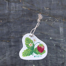 Load image into Gallery viewer, POP-UP ECO SPONGE
