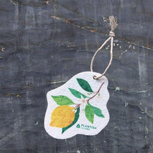 Load image into Gallery viewer, POP-UP ECO SPONGE
