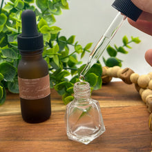 Load image into Gallery viewer, CAR DIFFUSER & REFILLS / FLAME AND ARROW