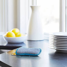 Load image into Gallery viewer, WASHING UP PAD DISH SPONGE SCRUBBER