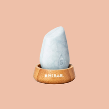 Load image into Gallery viewer, SHOWER LIFT / HIBAR