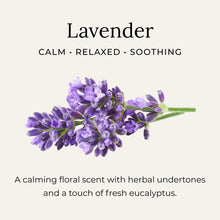 Load image into Gallery viewer, ORGANIC DEODORANT CREAM / REFILLABLE