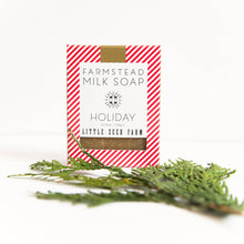 Load image into Gallery viewer, HOLIDAY BAR SOAP