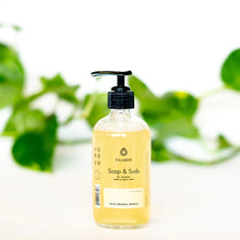 Load image into Gallery viewer, HAND SOAP / BODY WASH by Fillaree/ REFILLABLE