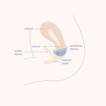 Load image into Gallery viewer, MENSTRUAL DISC - 2 sizes