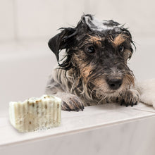 Load image into Gallery viewer, DOG SHAMPOO BAR