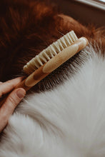 Load image into Gallery viewer, DOUBLE SIDED BAMBOO DOG BRUSH