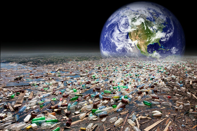 Plastic contaminates our bodies and our environment aka life in plastic is not fantastic