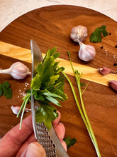 Load image into Gallery viewer, GARLIC PRESS &amp; HERB STRIPPER
