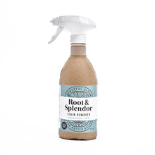 Load image into Gallery viewer, LAUNDRY PRE-SPOTTER STAIN REMOVER / REFILLABLE
