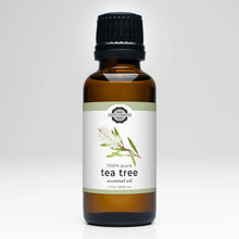 Load image into Gallery viewer, ESSENTIAL OILS / RUSTIC STRENGTH
