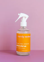 Load image into Gallery viewer, ROOM &amp; LINEN SPRAY / BARELY SERIOUS
