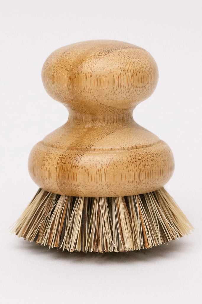 CASA AGAVE POT SCRUBBER