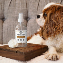 Load image into Gallery viewer, DEODORIZING PET SPRAY / THE BETWEEN-WASH WONDER
