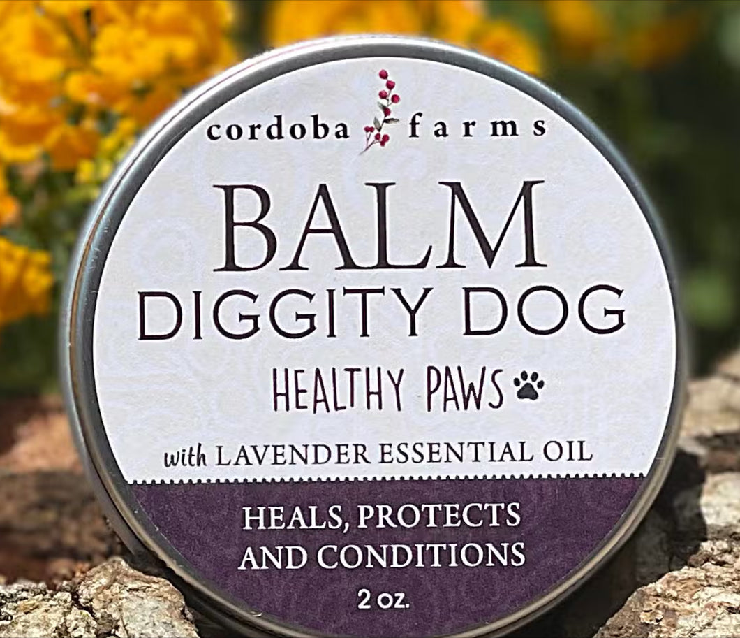 PAW PROTECTION BALM FOR DOGS