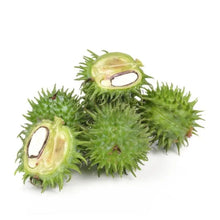 Load image into Gallery viewer, CASTOR OIL / COLD-PRESSED ORGANIC / REFILLABLE
