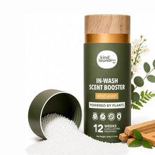 Load image into Gallery viewer, IN WASH SCENT BOOSTER

