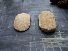 Load image into Gallery viewer, LOOFAH DISHWSHING SPONGE
