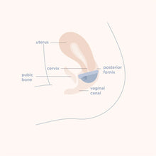 Load image into Gallery viewer, MENSTRUAL DISC - 2 sizes
