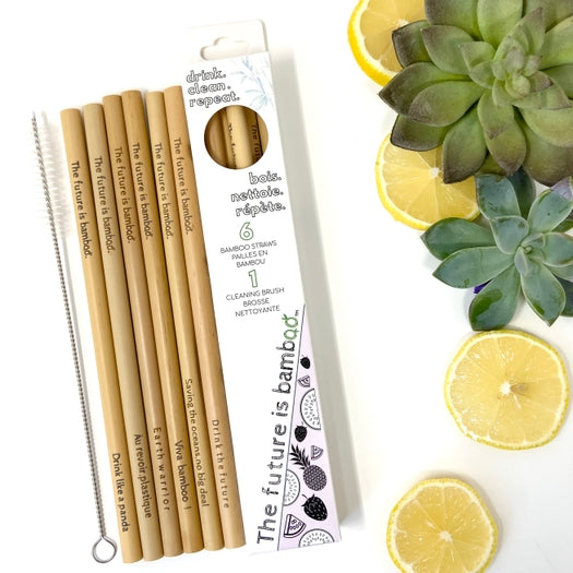 Bamboo Straws 6-Pack